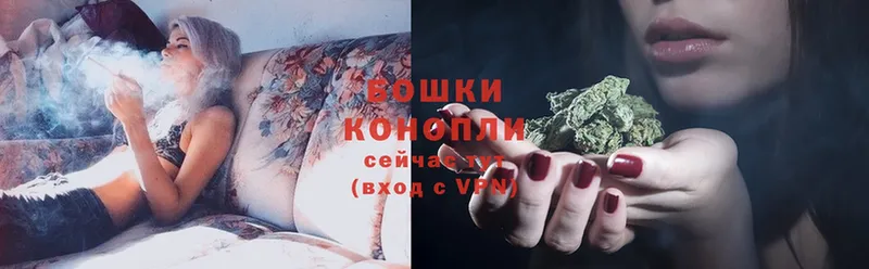 купить наркоту  Мичуринск  Бошки Шишки SATIVA & INDICA 